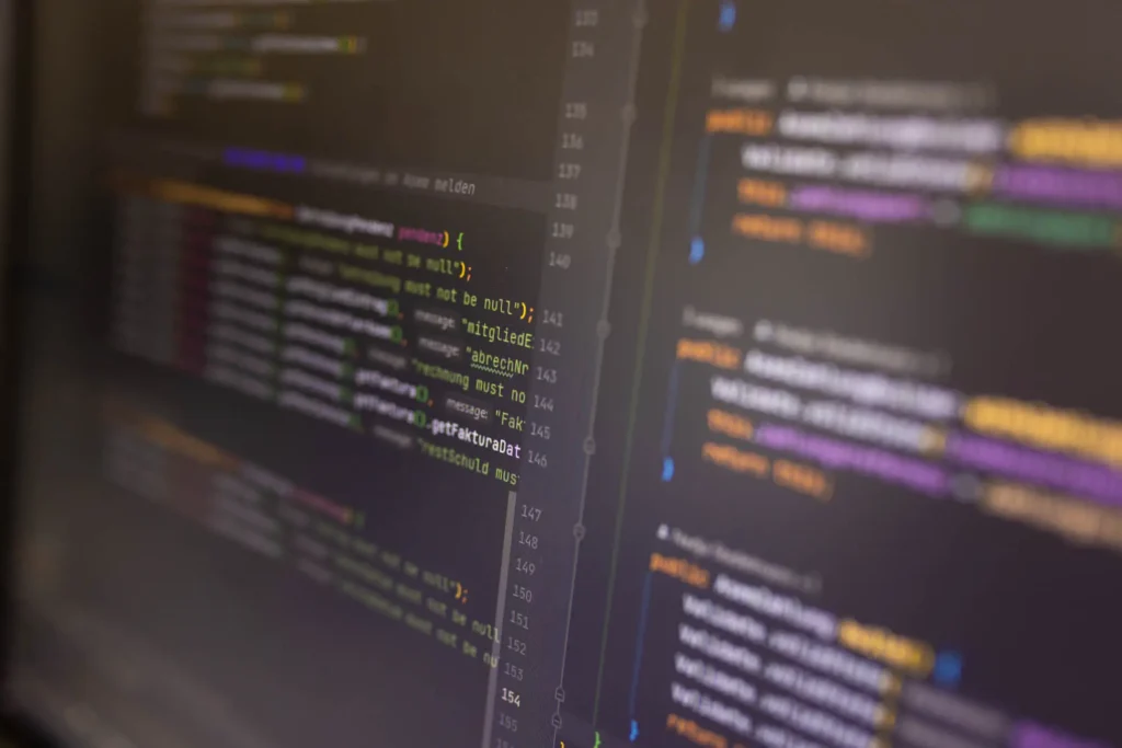 Softwwareentwcklung Behörden Löwenfels