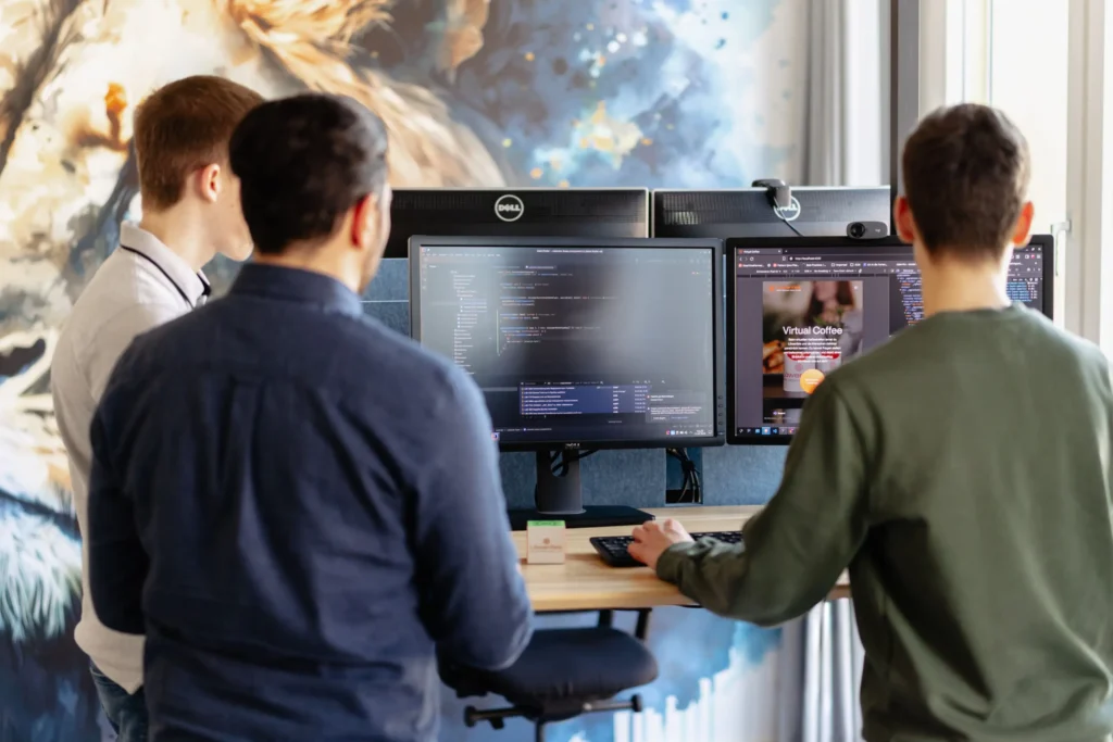 Intelligente Softwarelösung Löwenfels