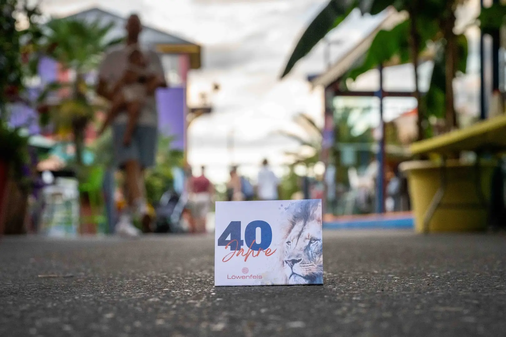 40 Jahre Löwenfels – Sommerfest